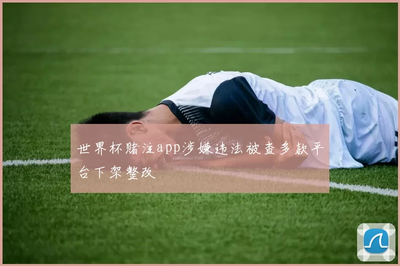 世界杯赌注app涉嫌违法被查多款平台下架整改