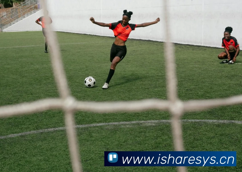 九游官方端网页版登录入口 - 九游(中国)平台生态图